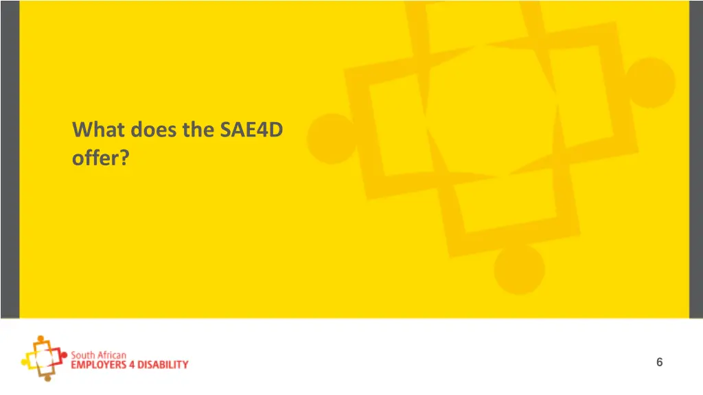 what does the sae4d offer