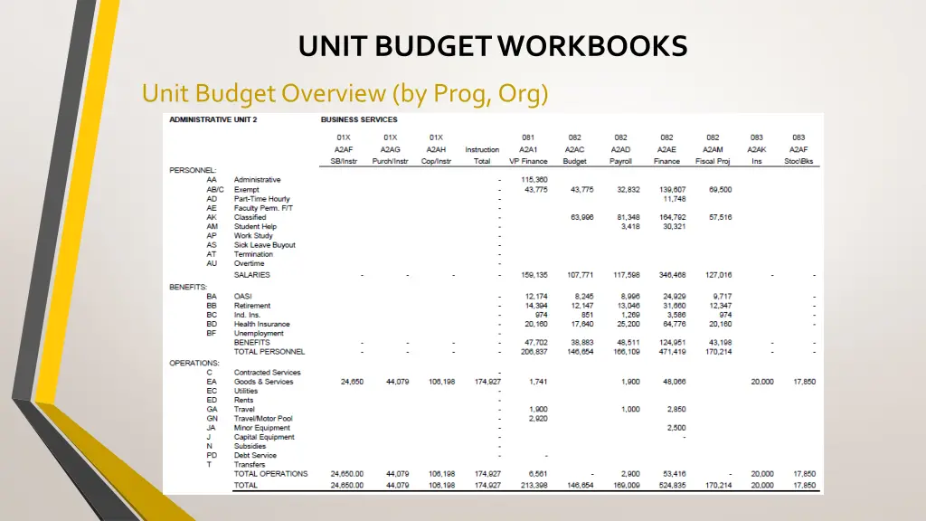 unit budget workbooks