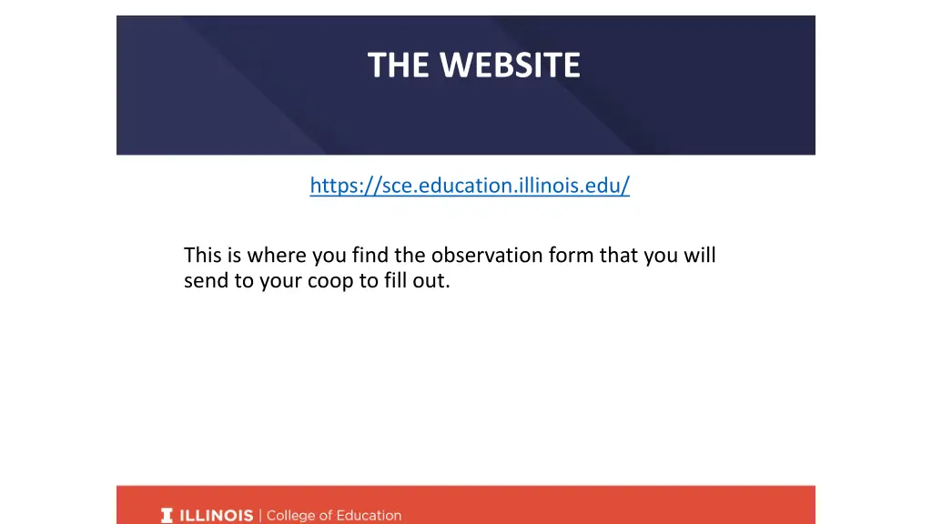 the website