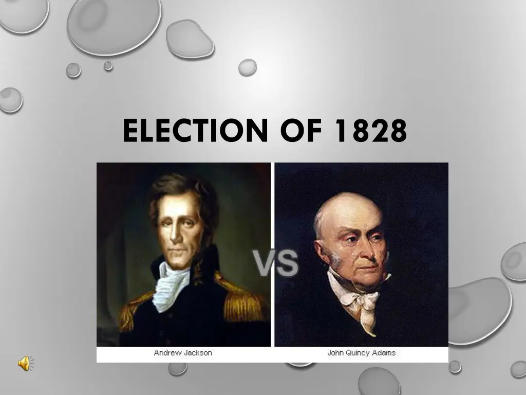 election of 1828