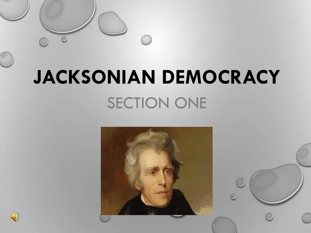 jacksonian democracy section one