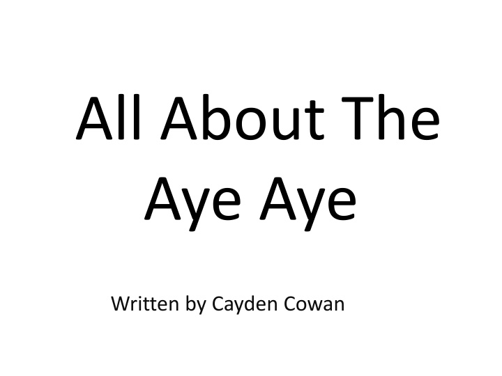 all about the aye aye