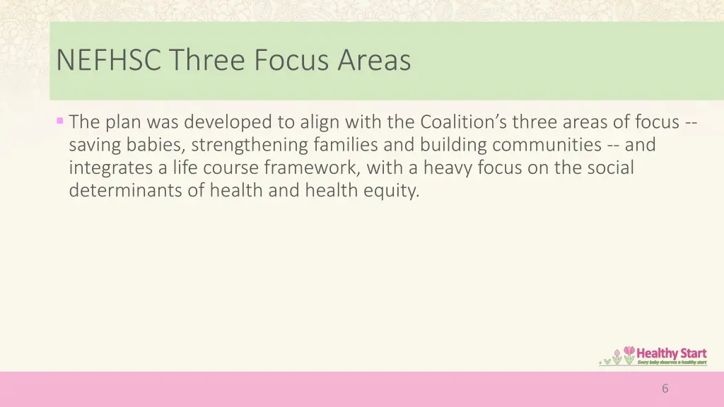 nefhsc three focus areas