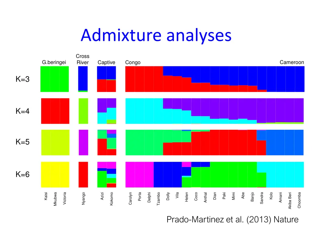 admixture analyses