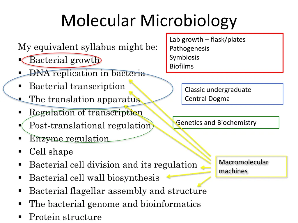 molecular microbiology 4