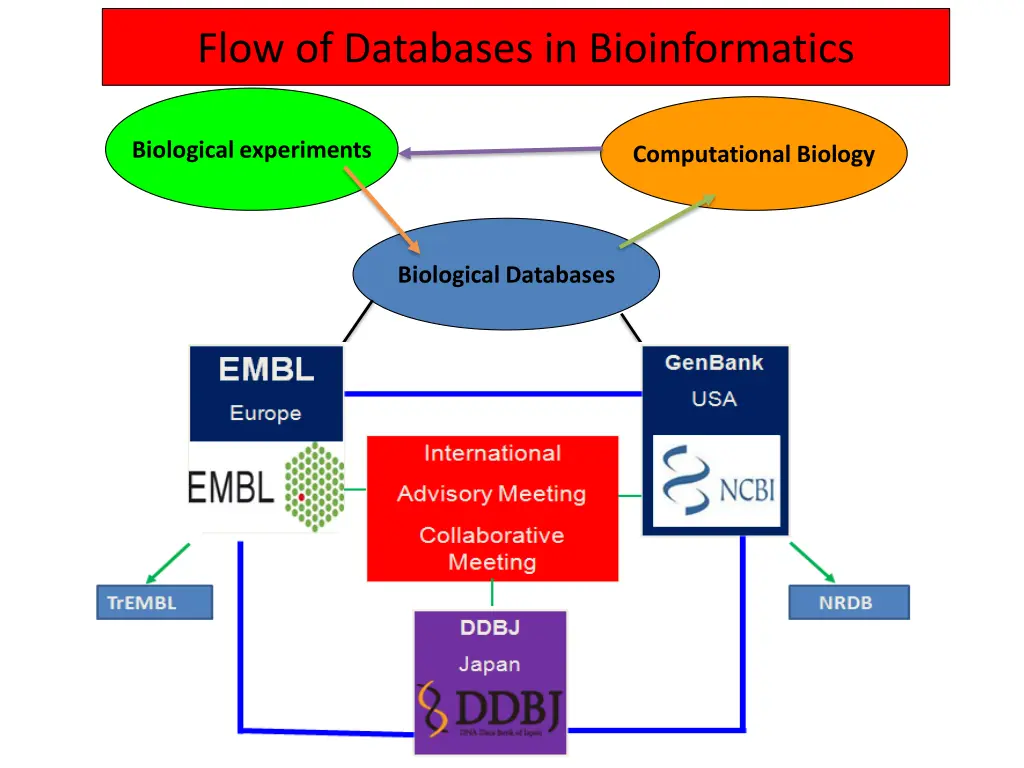 flow of databases in bioinformatics