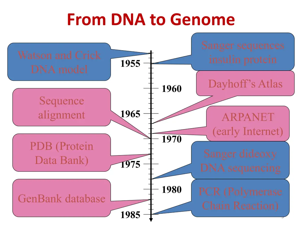 from dna to genome