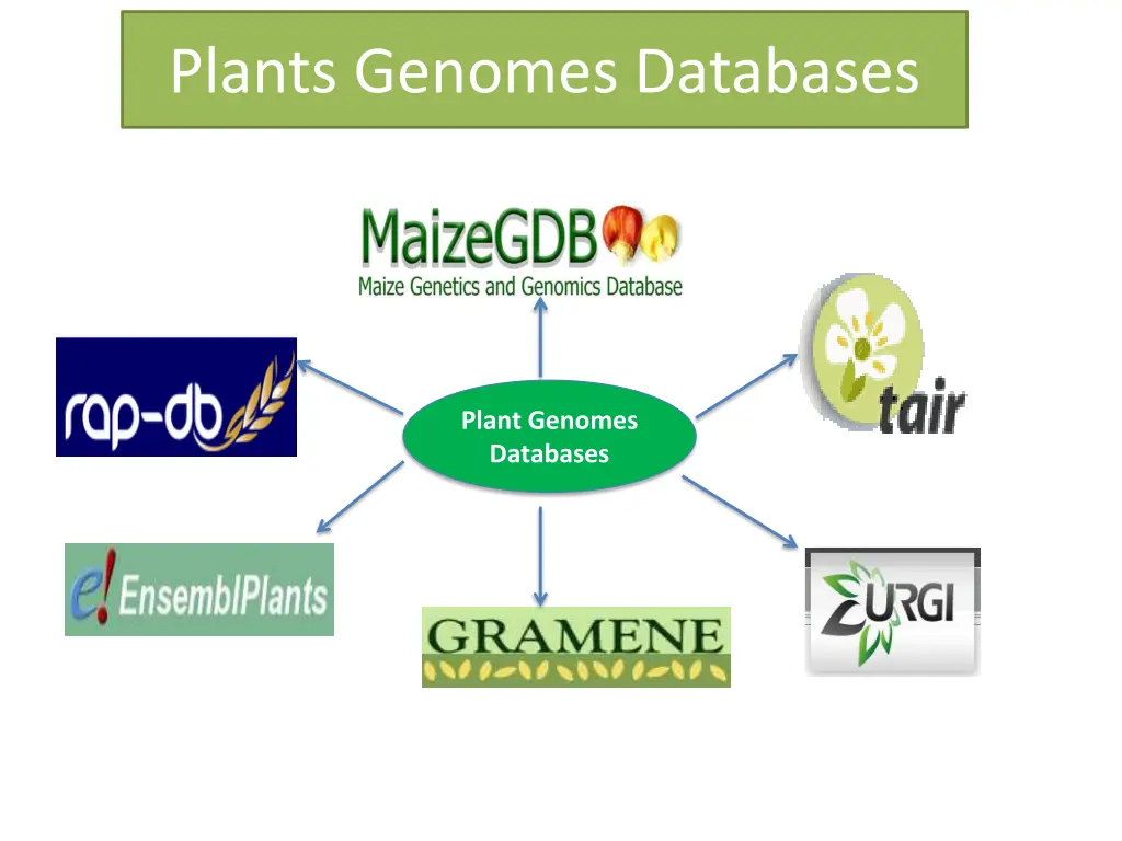 plants genomes databases