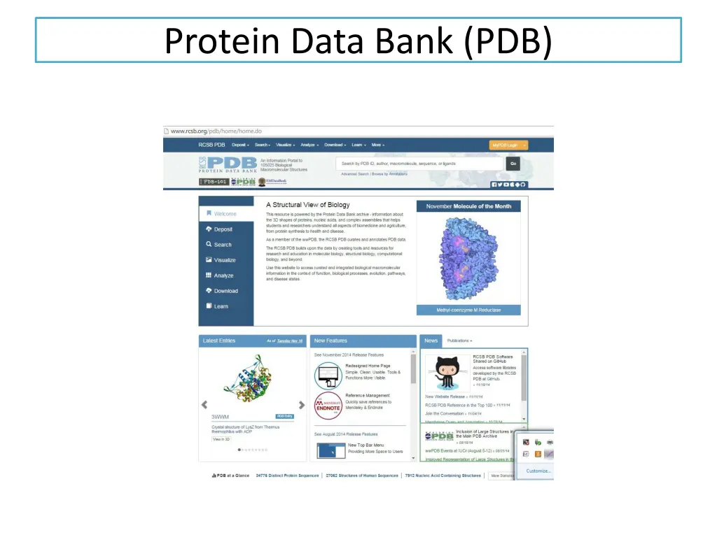 protein data bank pdb