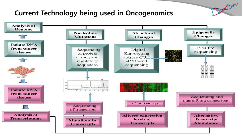 current technology being used in oncogenomics