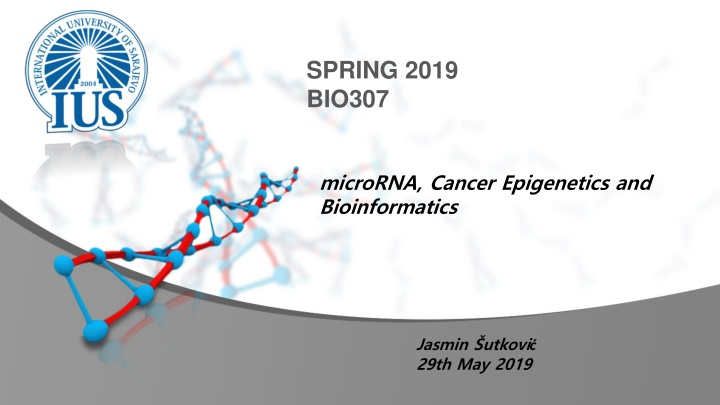 spring 2019 bio307