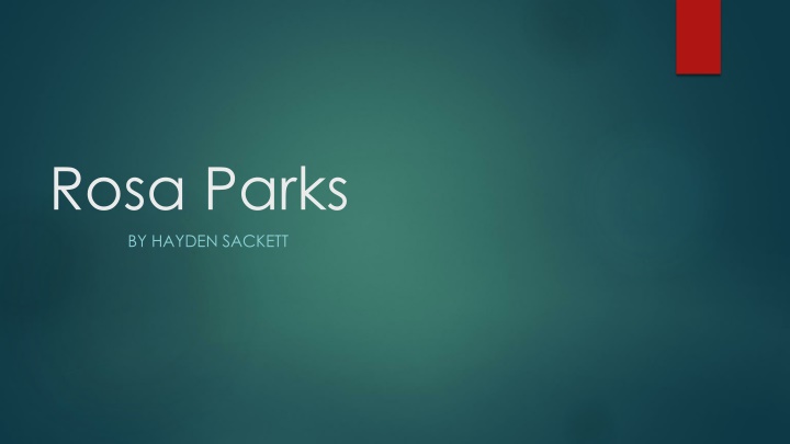 rosa parks by hayden sackett