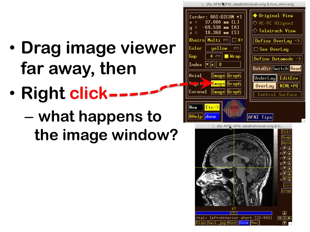 drag image viewer far away then right click what