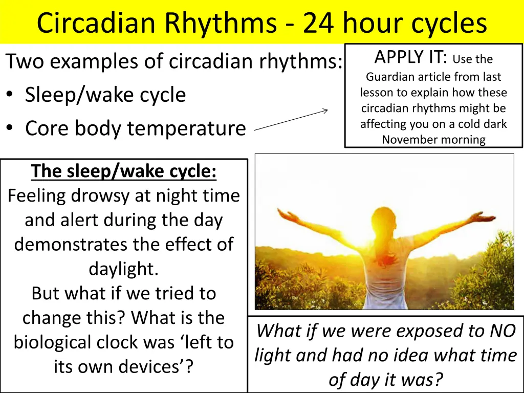 circadian rhythms 24 hour cycles two examples