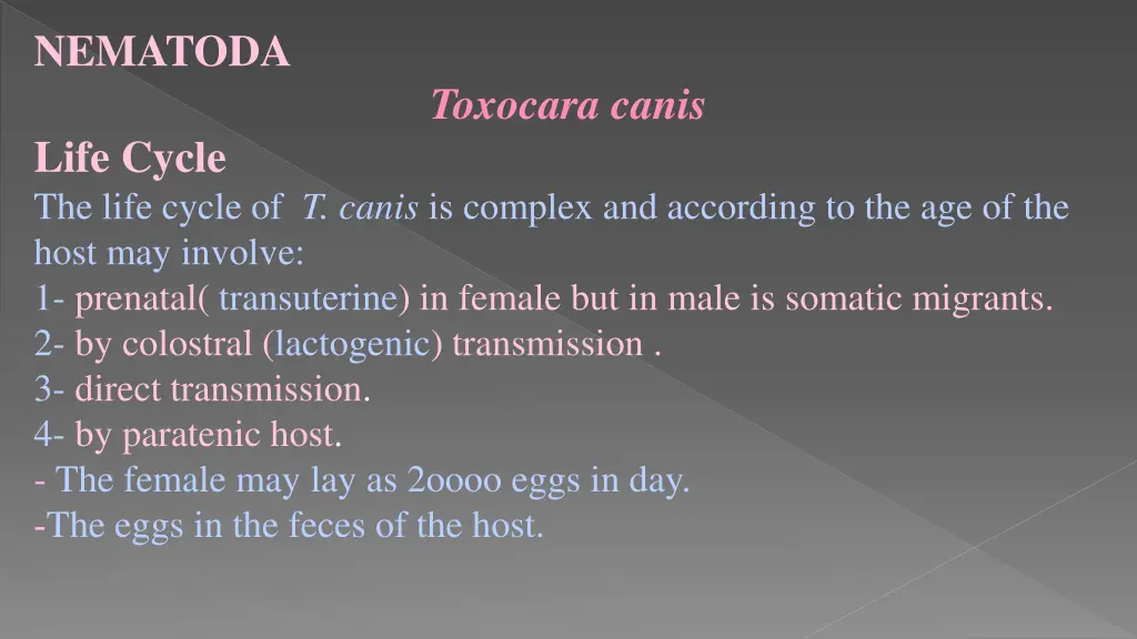 nematoda 1