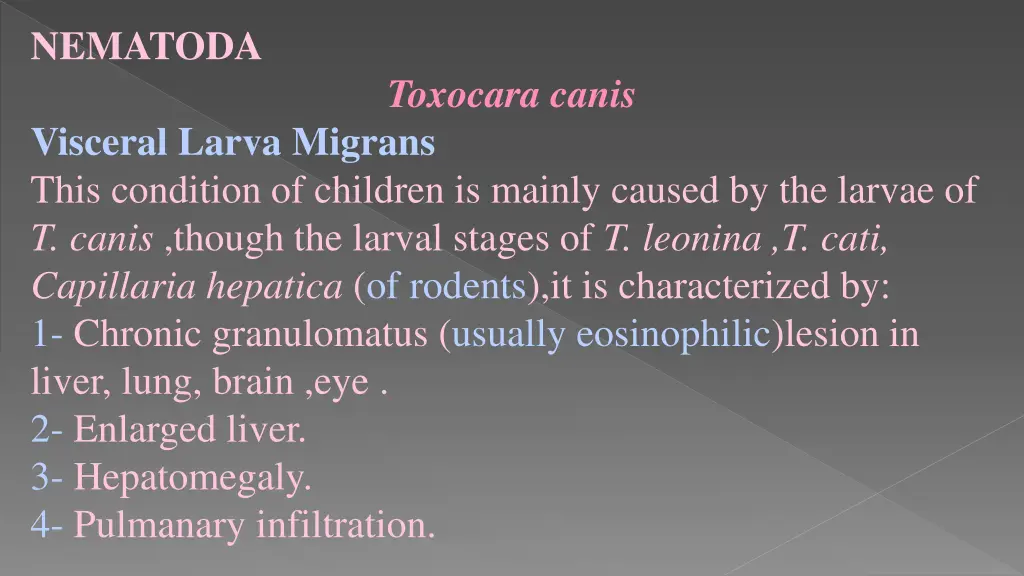 nematoda 10