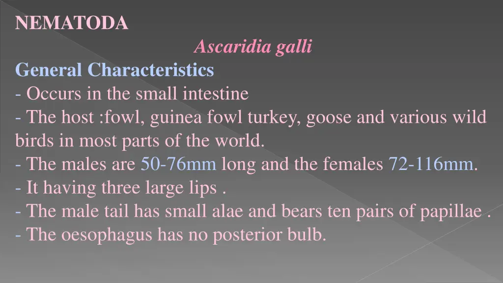 nematoda 12