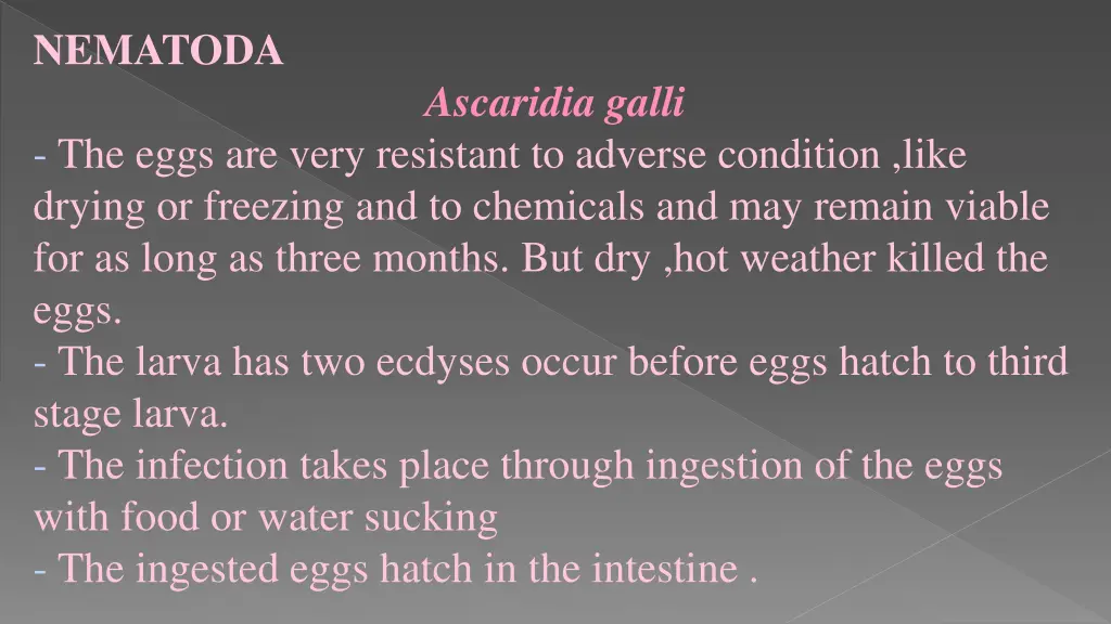 nematoda 14