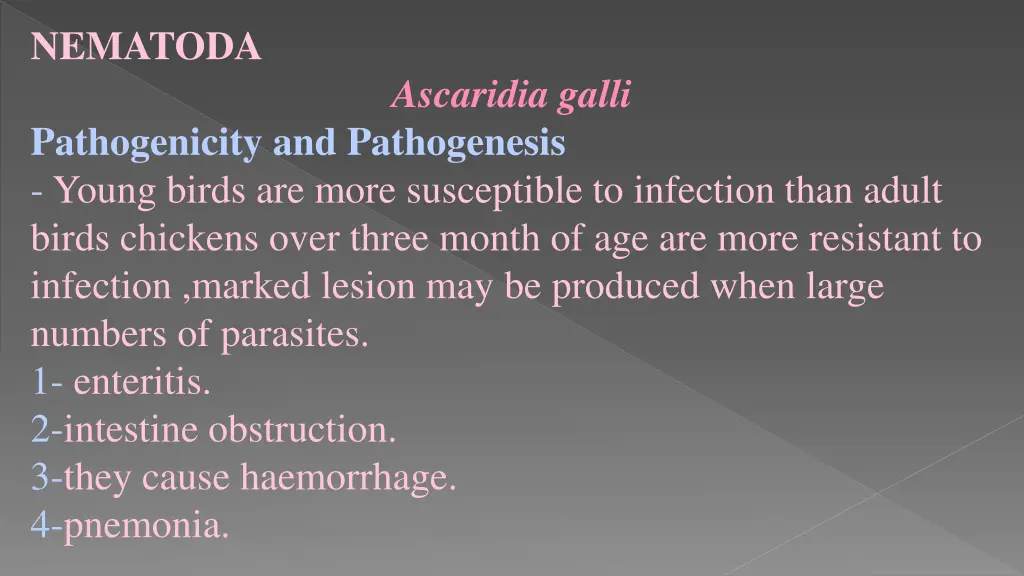 nematoda 17