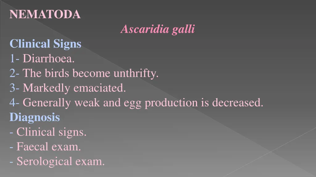 nematoda 18
