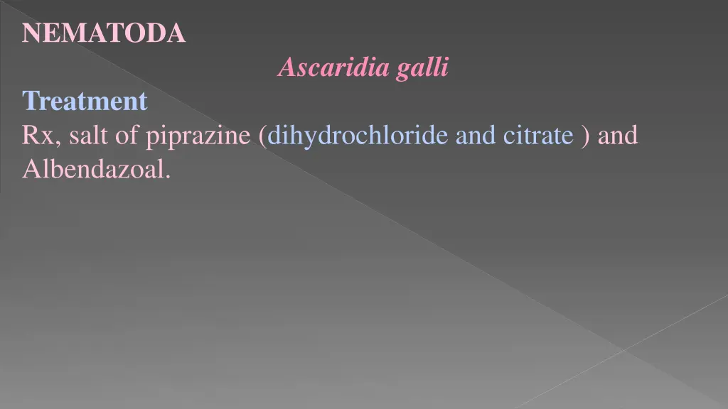 nematoda 19