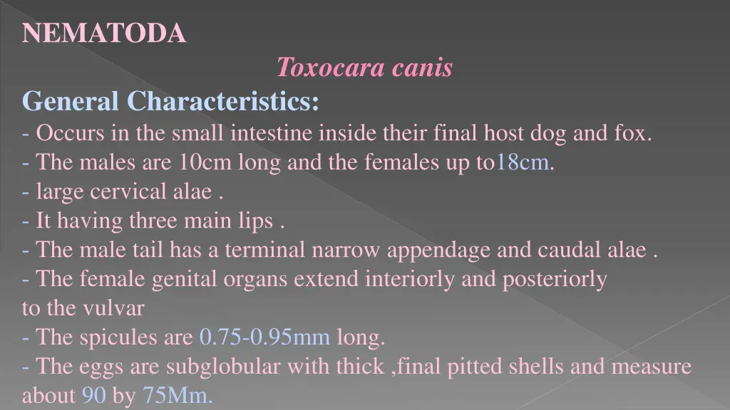 nematoda