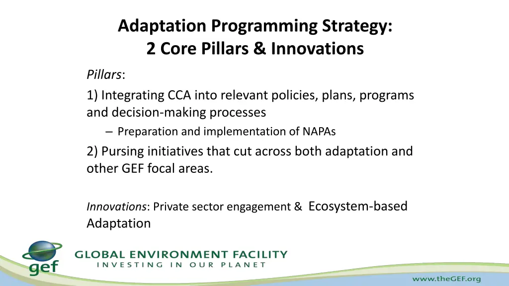 adaptation programming strategy 2 core pillars