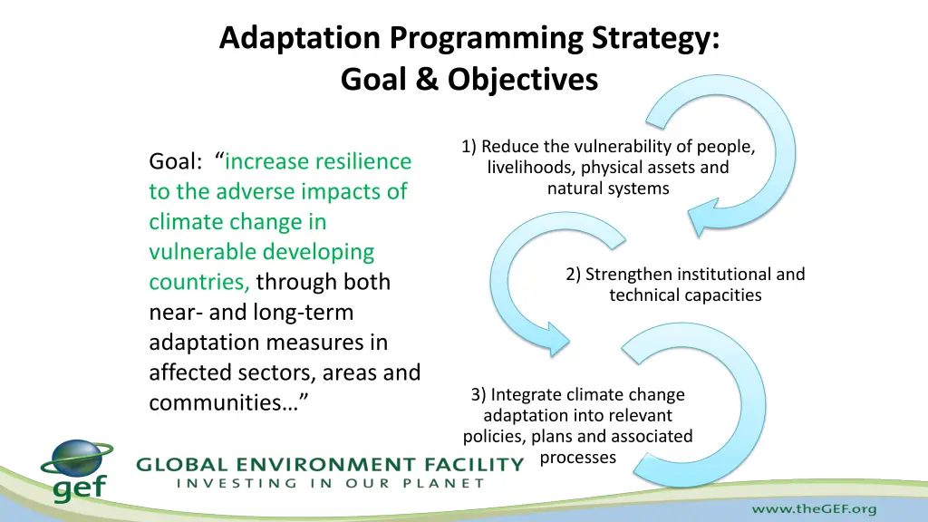 adaptation programming strategy goal objectives