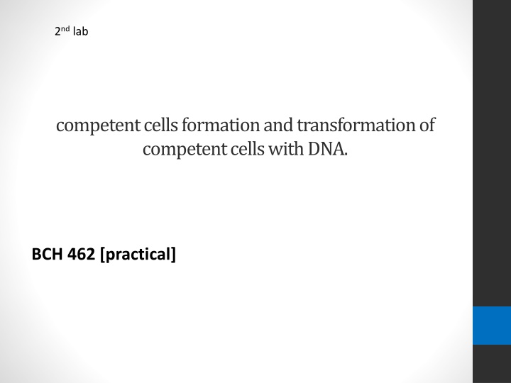 2 nd lab