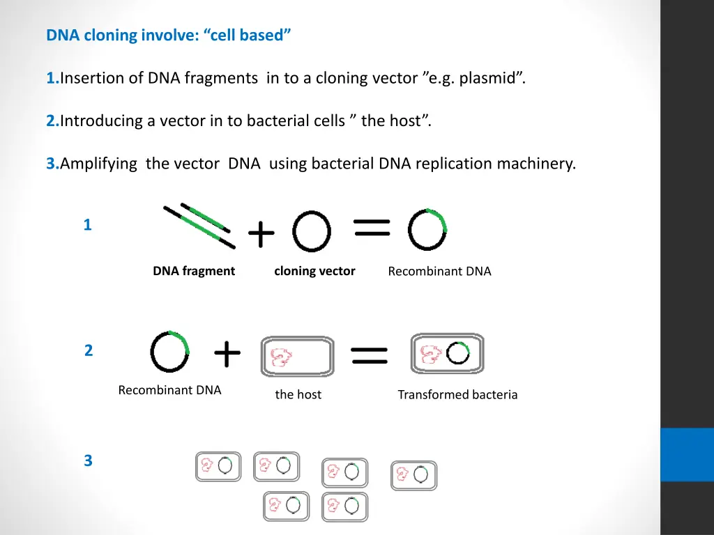 dna cloning involve cell based