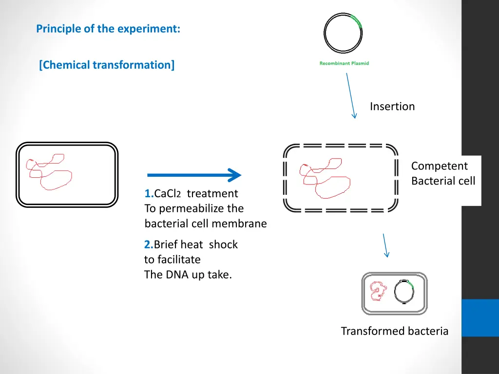 principle of the experiment