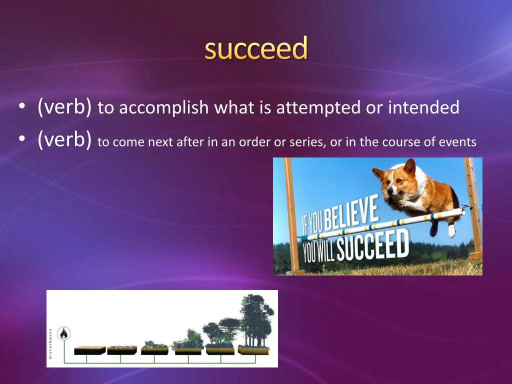 succeed