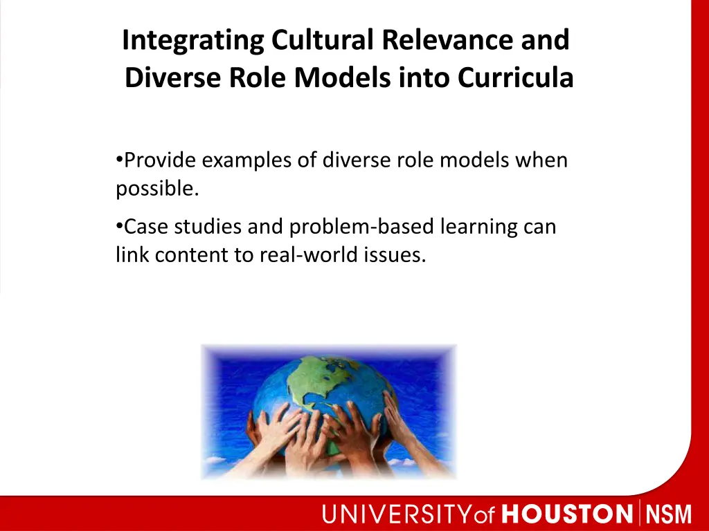 integrating cultural relevance and diverse role
