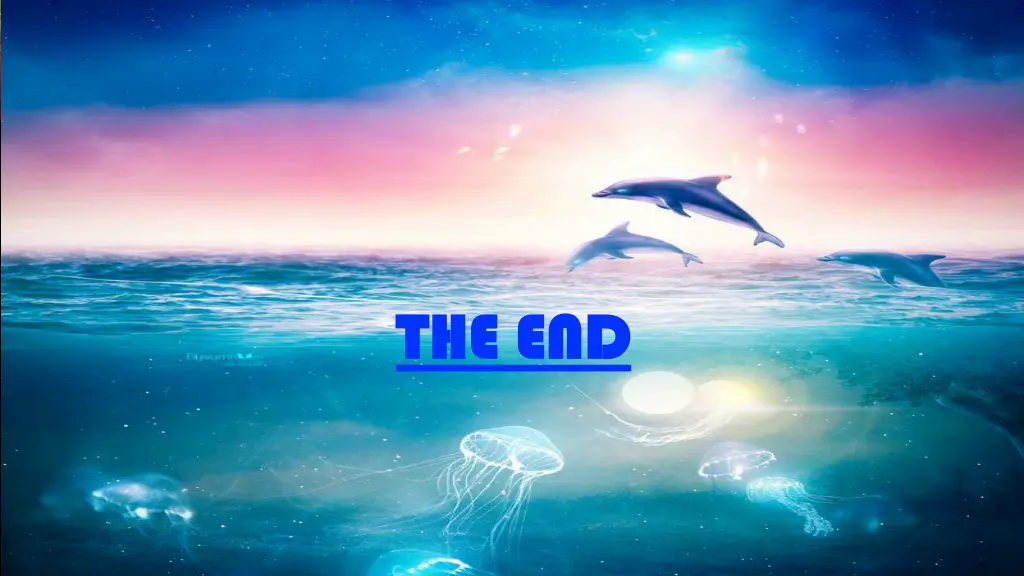 the end the end