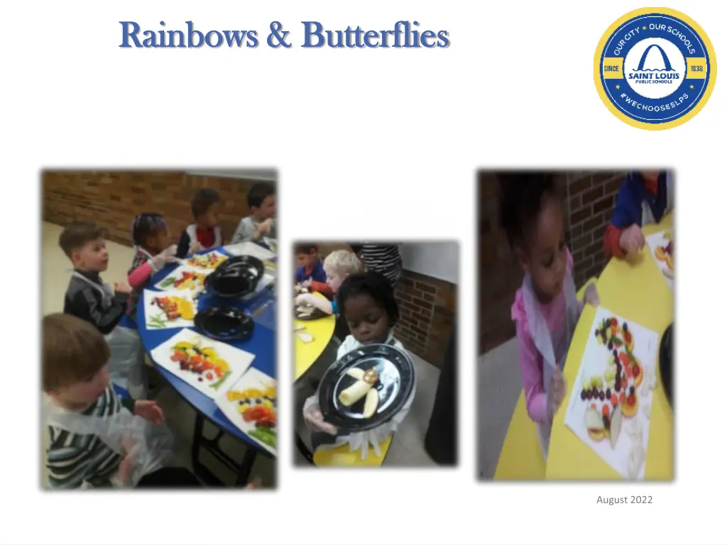 rainbows butterflies rainbows butterflies