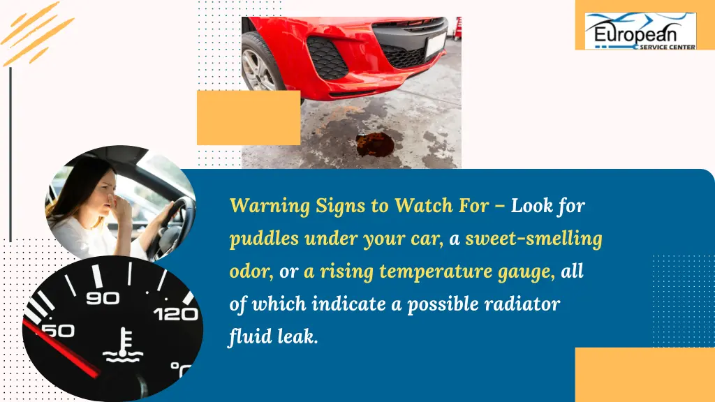 warning signs to watch for look for puddles under