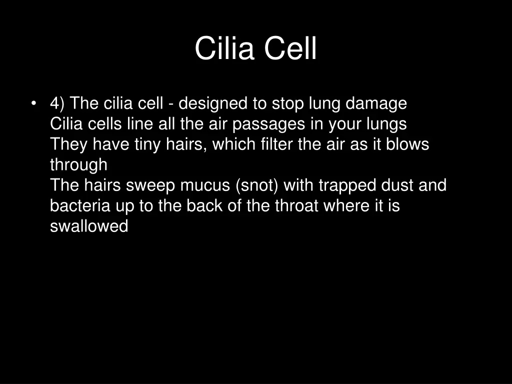 cilia cell