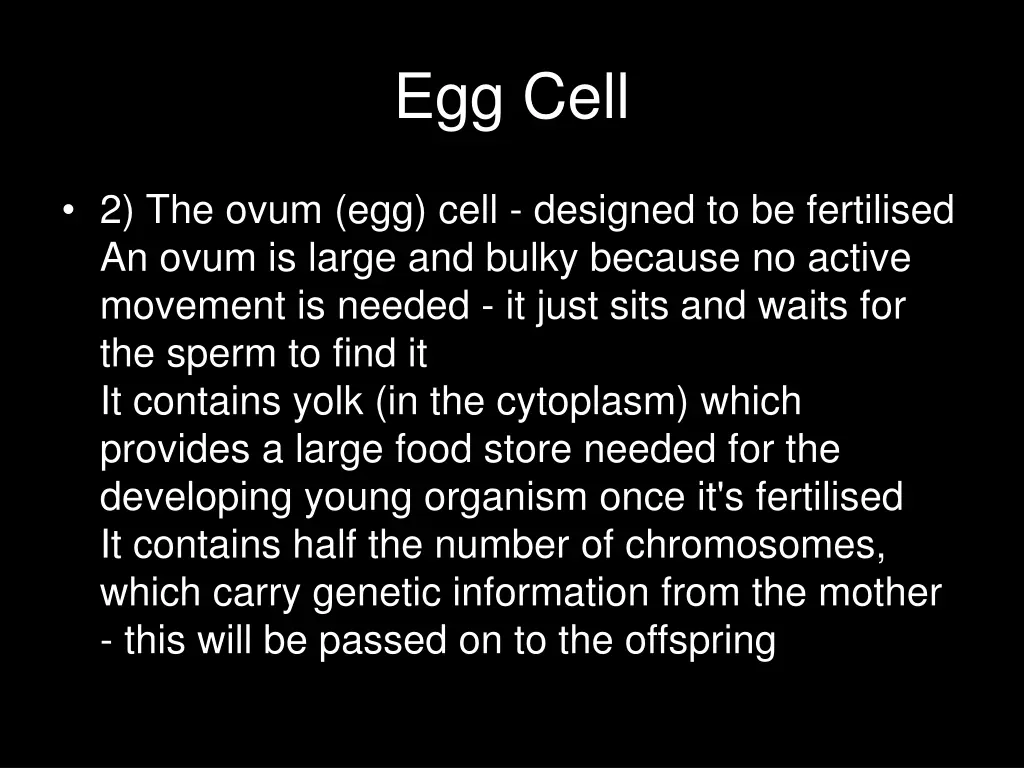 egg cell