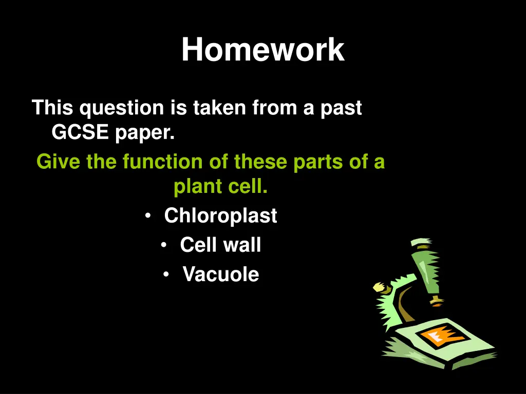 homework