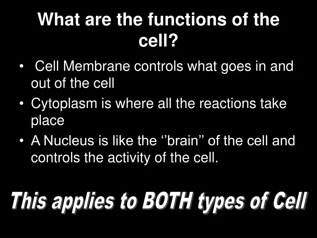 what are the functions of the cell cell membrane