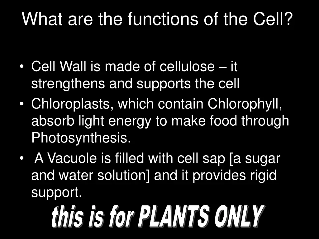 what are the functions of the cell