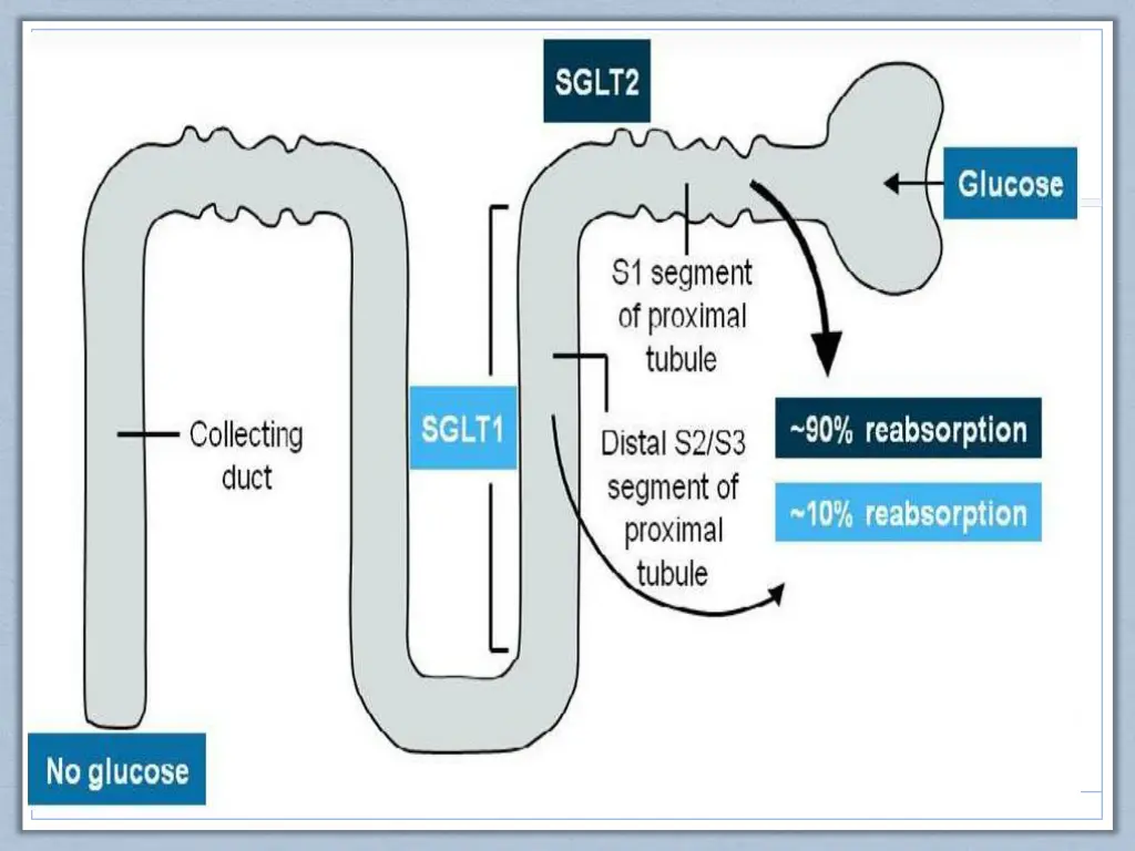 slide3