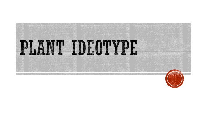 plant ideotype