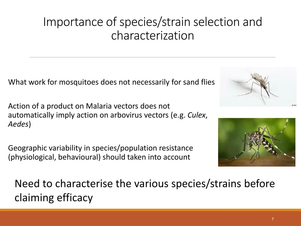 importance of species strain selection