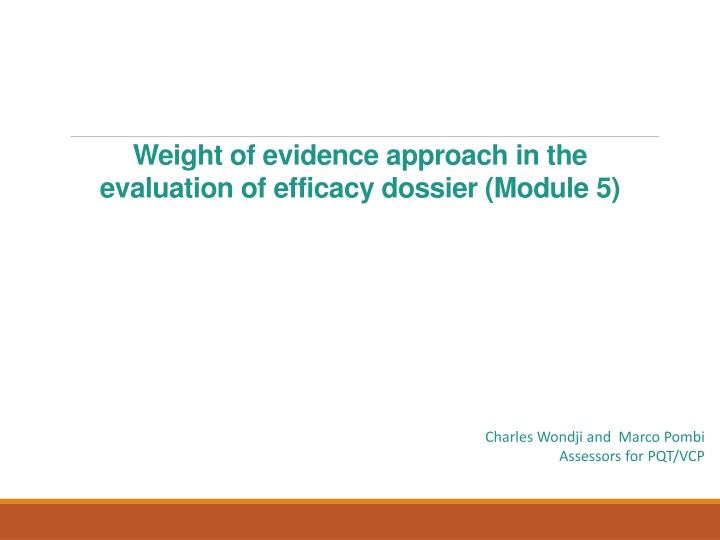weight of evidence approach in the evaluation