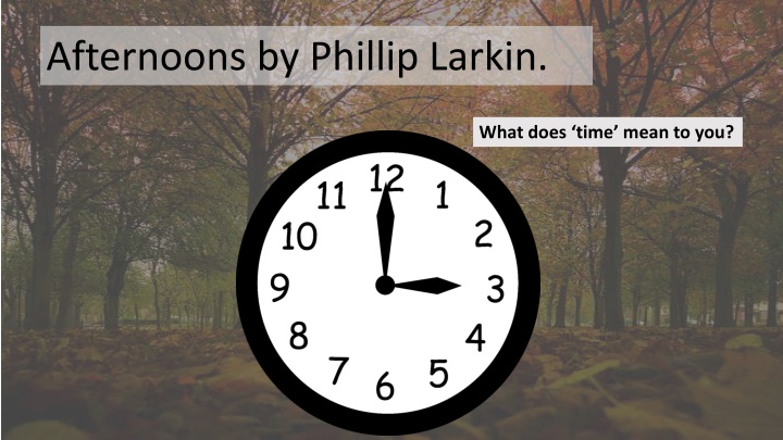afternoons by phillip larkin