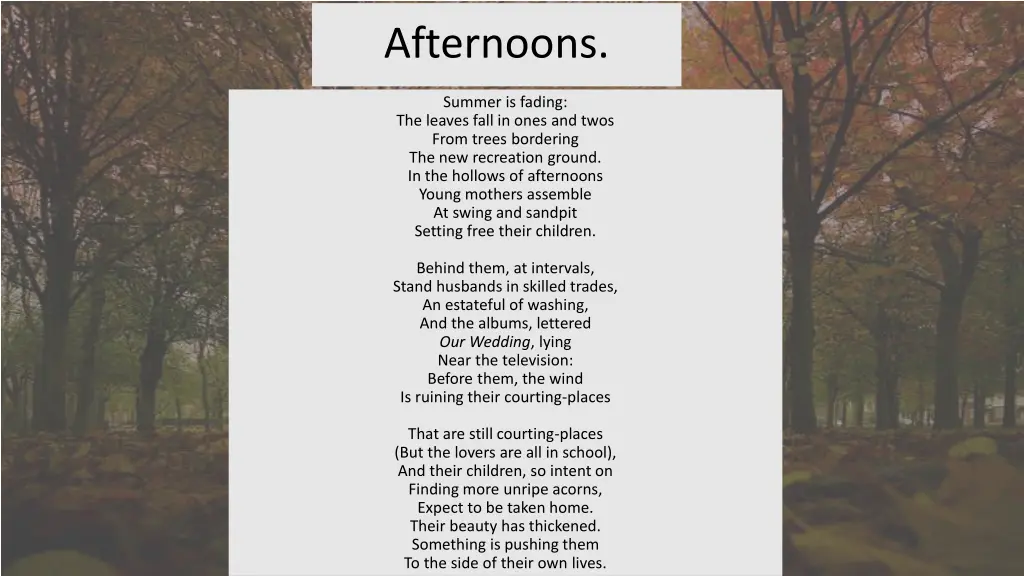 afternoons