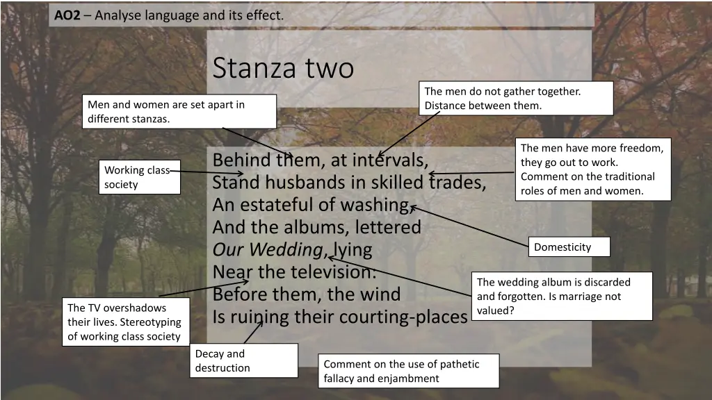 ao2 analyse language and its effect 1