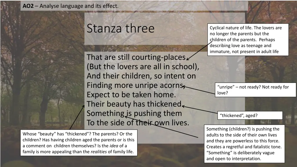 ao2 analyse language and its effect 2