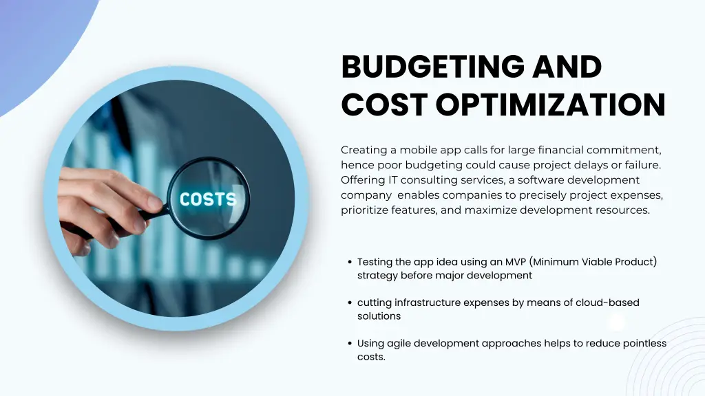 budgeting and cost optimization
